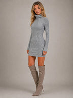 Women's Ribbed Mini Dress – Roll Neck Long Sleeve in Grey – Hover view