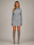 Women's Ribbed Mini Dress – Roll Neck Long Sleeve in Grey – Main view